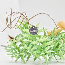Load image into Gallery viewer, Be Still Necklace