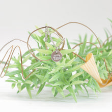 Load image into Gallery viewer, Mama Bear Tiny Necklace