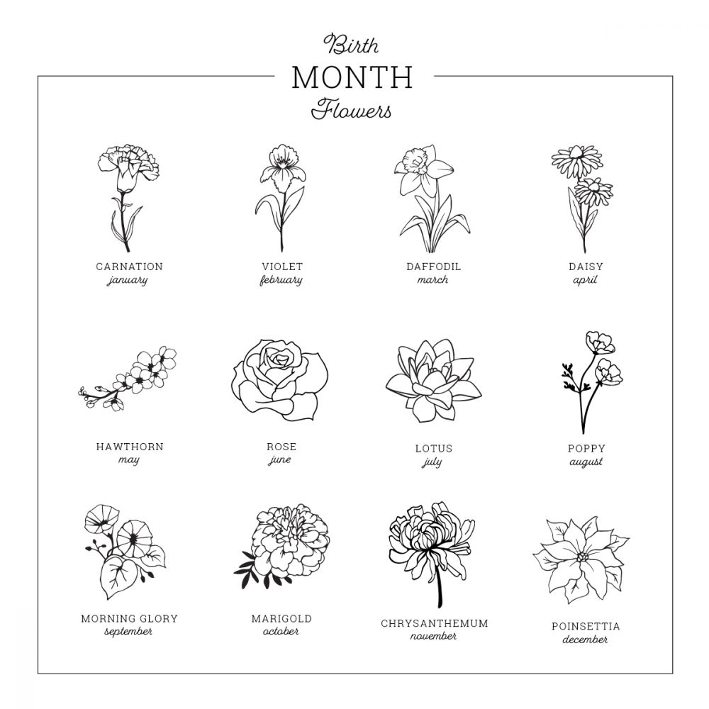 June Birth Month Flower Pack Scan rose and Honeysuckle DIGITAL DOWNLOAD for  Tattoo Design or Wallpaper - Etsy Israel